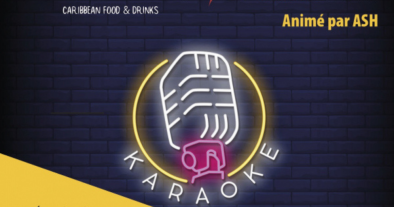 KARAOKÉ PARTY AT O'PUB, ANIMATION BY ASH !