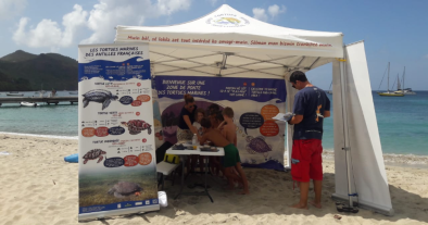 Caravane tortue sur le Front de mer