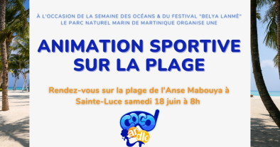 Animation sportive sur la plage