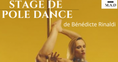Stage de pole dance