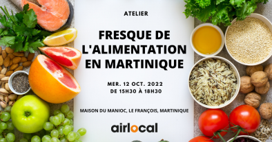 FRESQUE DE L'ALIMENTATION