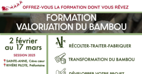 FORMATION VALORISATION DU BAMBOU