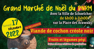 Grand marché de Noël du PRN