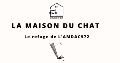 Les visites du mercredi au refuge de l'AMDAC972