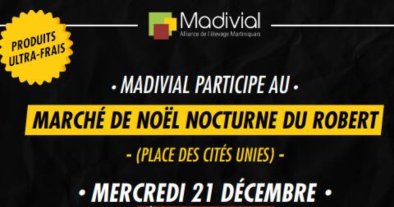 Marché de Noël Nocturne