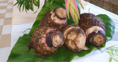 Journée "du Jardin à l'Assiette" spéciale Dachine