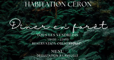 DÎNER EN FORÊT