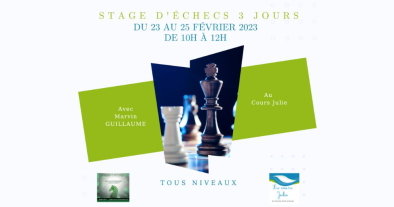 Stage d'échecs tous niveaux