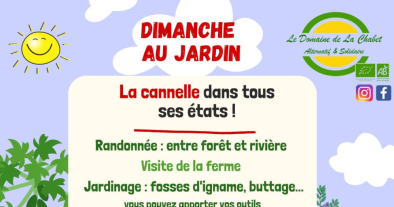 Dimanche au Jardin : La cannelle dans tous ses états !