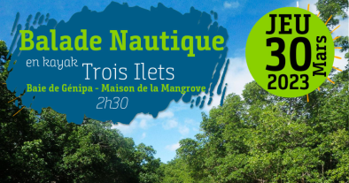 Balade Nautique en Kayak BAIE DE GENIPA