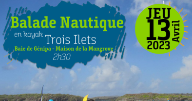 Balade Nautique en Kayak BAIE DE GENIPA