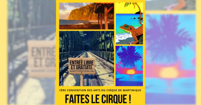 FAITES LE CIRQUE : 1e CONVENTION DES ARTS DU CIRQUE