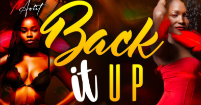 BACK IT UP ! ( DJ WILL'ONE )