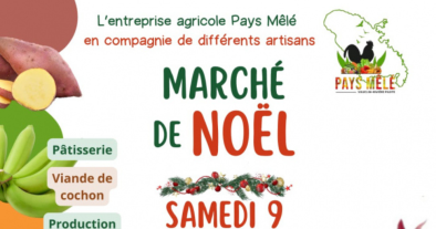 MARCHÉ DE NOËL