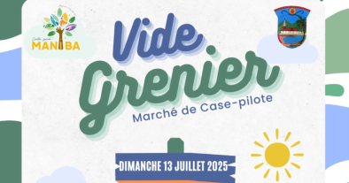 Vide-Grenier de Case-Pilote